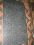image of grave number 254356